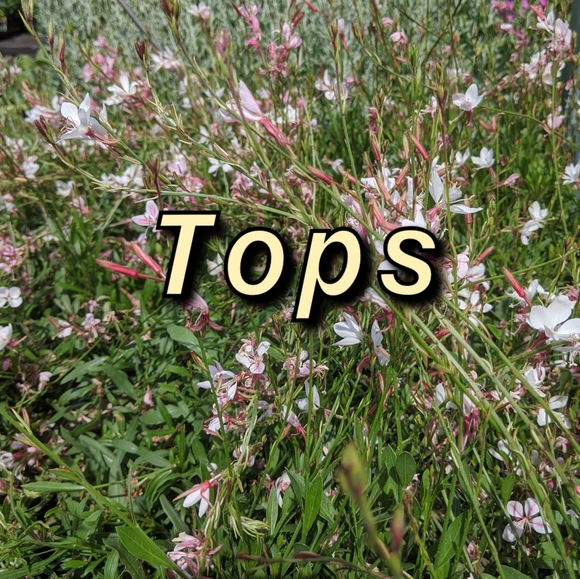 Tops - Picture 1 of 1